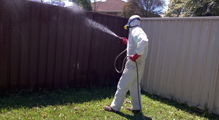 commercial pest control Blue Mountains