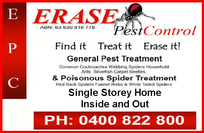 Flea pest control Blue Mountains whole-home treatment planning