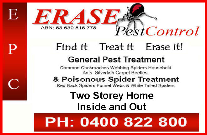 Silverfish pest control Blue Mountains treatment planning for houses and rentals