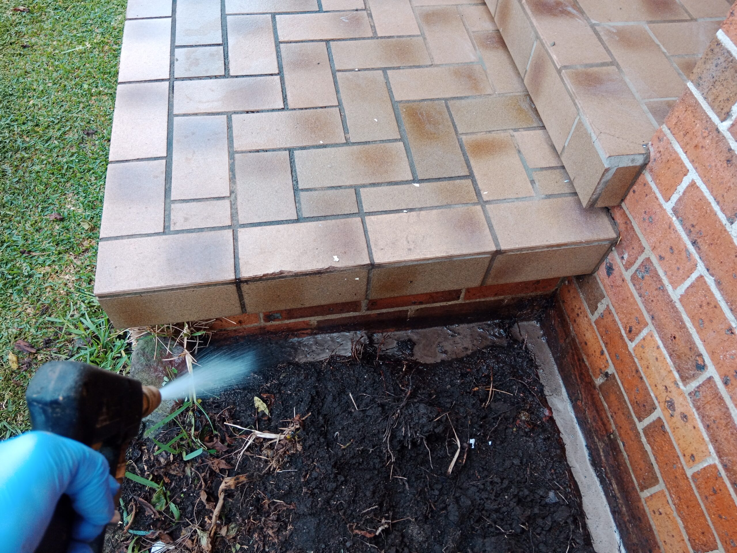 termite treatments Blue Mountains inspection and treatment steps