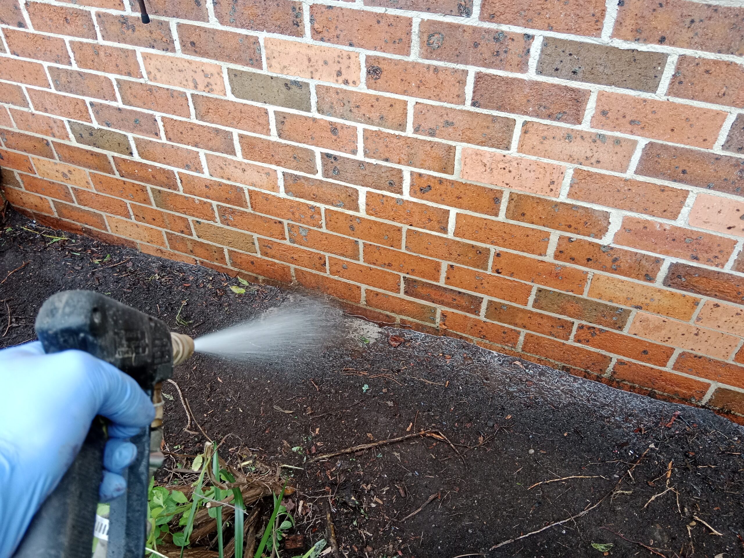 termite treatments Blue Mountains wall and entry point check