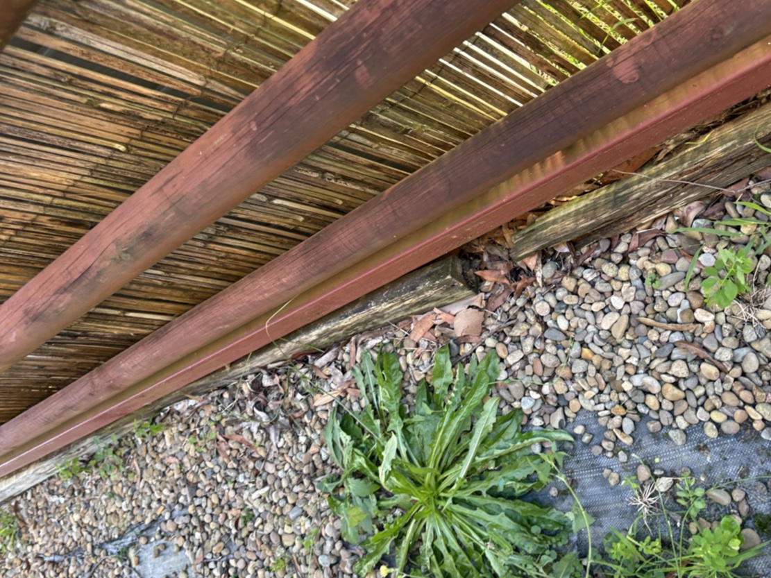 Landscape timber termite risk conditions at a Springwood property