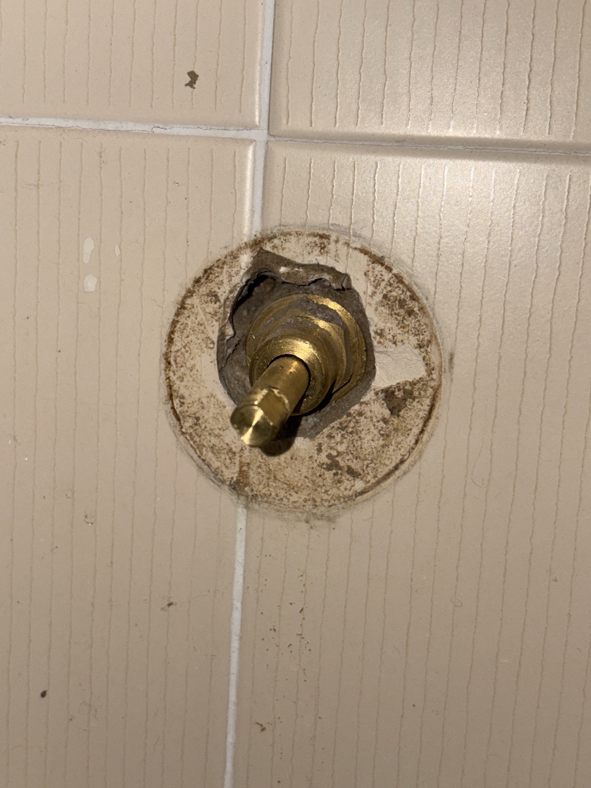 Termite damage found in a laundry wall cavity during a Springwood inspection